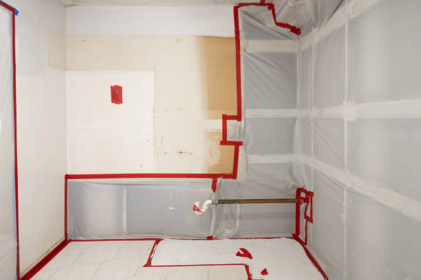 Mold Remediation for Vacation Homes in Kasson, MN