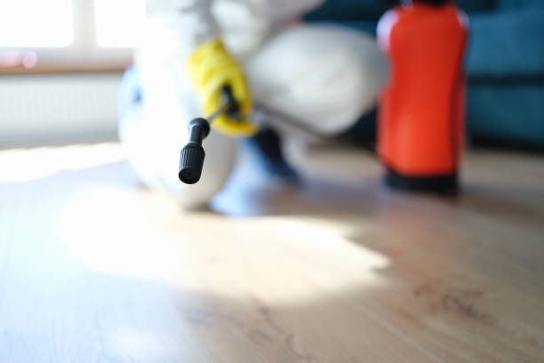 Best Mold Prevention Services  in Kasson, MN