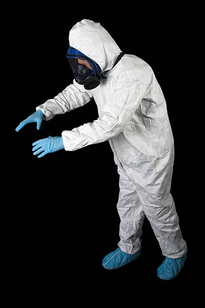 Best Black Mold Removal  in Kasson, MN