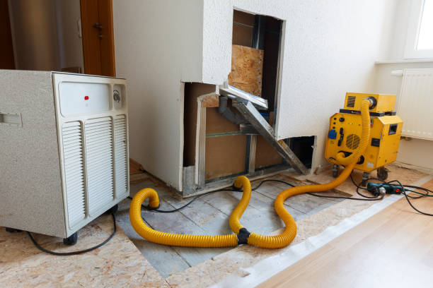 Best Industrial Mold Remediation  in Kasson, MN