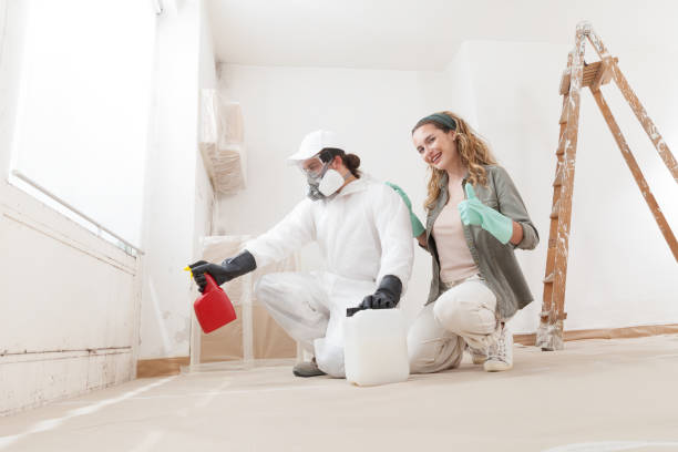 Mold Removal for HVAC Installations in Kasson, MN