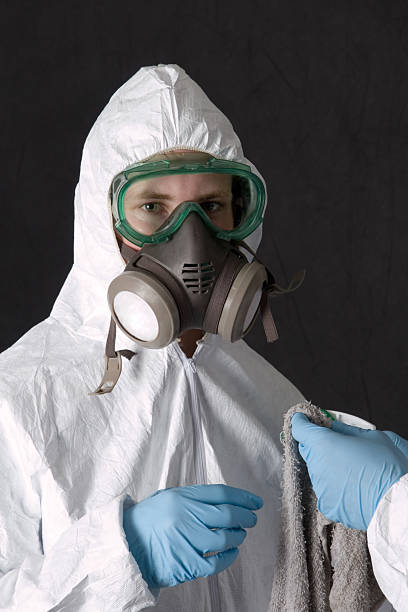 Best Mold Odor Removal Services  in Kasson, MN